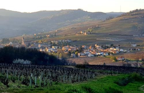 Maconnais Beaujolais Agglomeration Apartment | Saint-Amour domaine de la vigne
