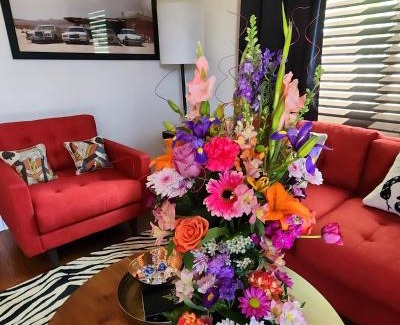 Indio Apartment | Saint Boniface Hotel