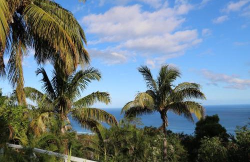 Piton Saint-Leu Bed & Breakfast | Saint Leu - Chambre 3 épis avec PDJ piscine en pleine nature vue mer - Bardzour
