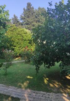 Cirali House | Saklı Bahçe Pension