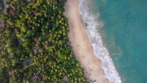 Kosgoda Hotel | Sama Retreats - Kosgoda