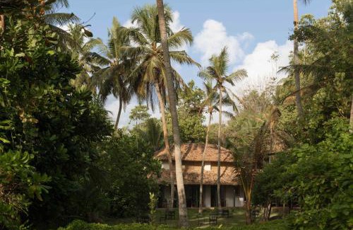 Kosgoda Hotel | Sama Retreats - Kosgoda