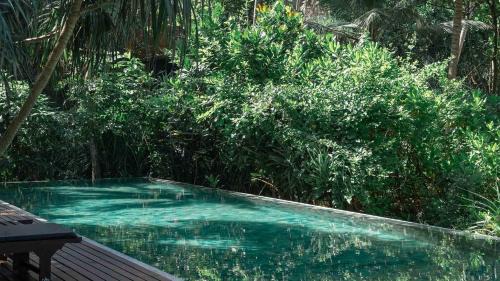 Kosgoda Hotel | Sama Retreats - Kosgoda