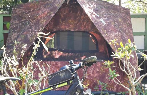 Chiang Dao Other | Samatha Camper