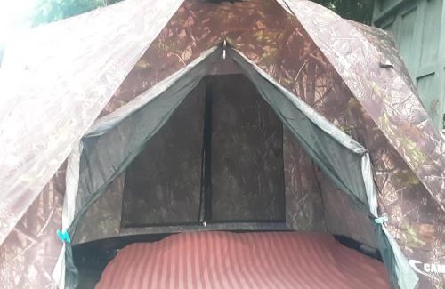 Chiang Dao Other | Samatha Camper