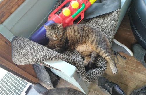 Jyvaskyla House | Sammalinen