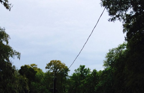 Needville Cabin | San Bernard River Cabin