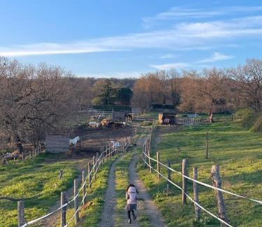 San Lorenzo Nuovo Apartment | San Biagio