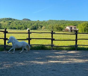 San Lorenzo Nuovo Apartment | San Biagio