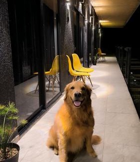 Santa Rosa de Cabal Hotel | San Gabriel Via Termales Santa Rosa