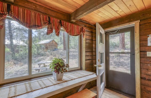San Juan River Village House | San Juan Cabin: Cozy Mountain Getaway, Fire Pit, Mtn Views, 10 Min to Downtown, Close to Wolf Creek!
