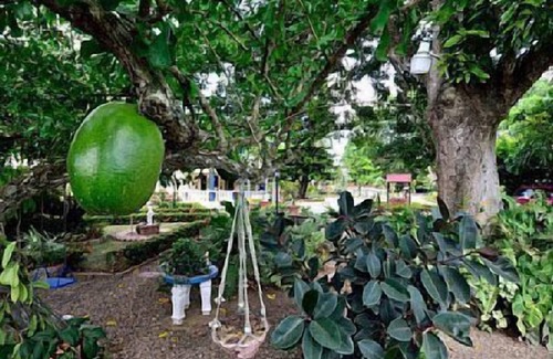 Tamboril House | SANA El Jardin Secreto Guest House sleeps 10