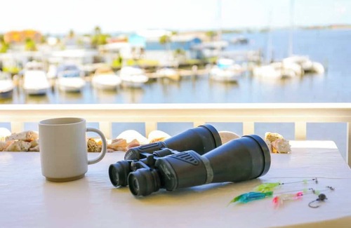 St. Petersburg - Clearwater Apartment | Sand Dollar Point - Pool, Bay, Hot Tub, 10 min to beach