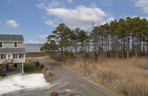 Chincoteague House | Sand Penny