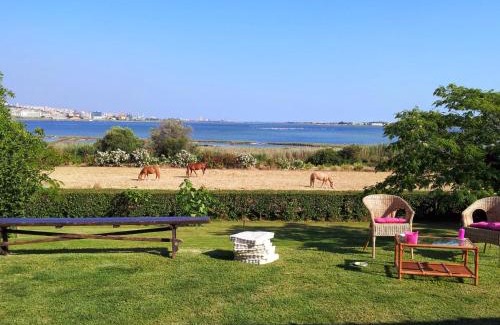Elmas Bed & Breakfast | Santa Igia - Country House