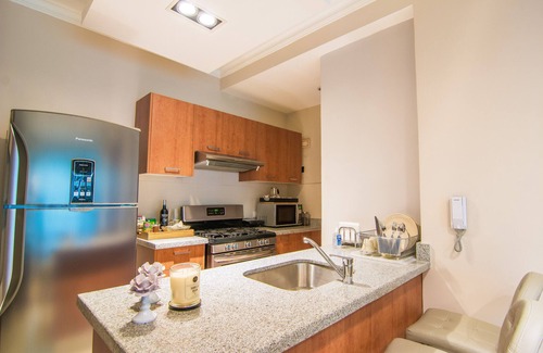 Downtown Santo Domingo Apartment | Santo Domingo Elegant Apartment + Free Parking and Gym ✔️