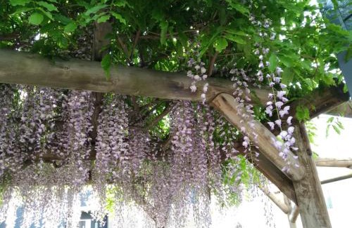 Higashi Bed & Breakfast | Sapporoの実家 B&B Yoshida