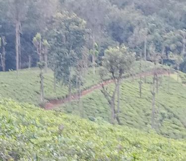 Uva Paranagama Apartment | Sapugolla Family Resort