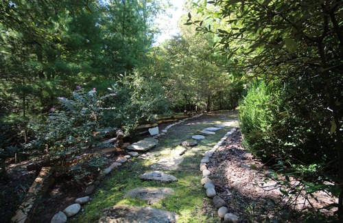Pisgah Forest Cabin | Sarah`s Cabin | 1 Bed, 1.5 Bath