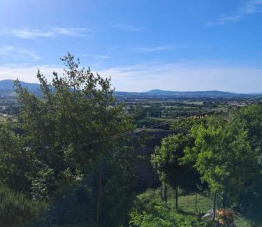 Eggi House | Saras Castle