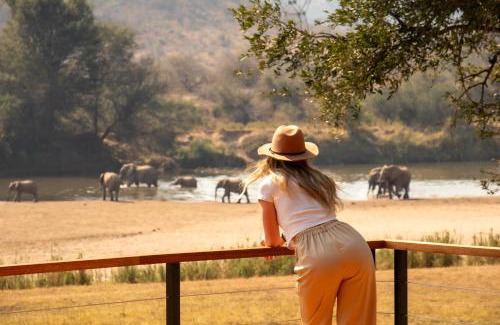 Ehlanzeni Cabin | Sashwa River of Stars Plant-Based Wellness Safari Lodge