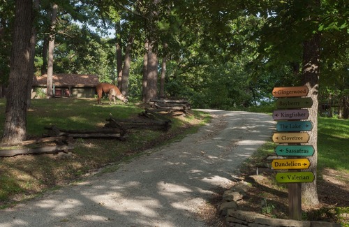 Eureka Springs Cottage | Sassafras Cabin at Lake Lucerne Resort and Ranch