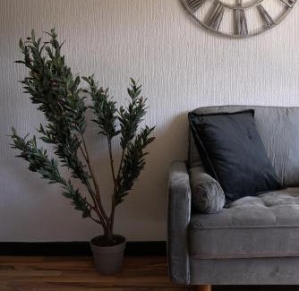 Sauchie House | Sauchie House