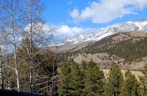 Lake City Cabin | Scenic Mountain Cabin; 2 Walk-In Showers; Nature Viewed As One Grills On Deck