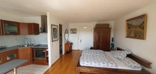 Bad Saeckingen Apartment | Schöne ruhige und helle Wohnung in Bad Säckingen