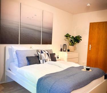 Frauenland Apartment | Schönes Apartment mit Terrasse