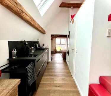 Mainz-Bingen Apartment | Schönster Blick auf Oppenheim!