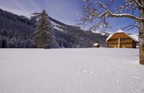 Donnersbachwald Apartment | Schaffergut Appartements