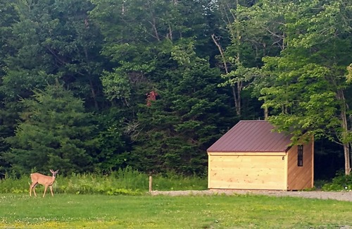 Lincoln Cabin | Schlafman's Hollow Solar Cabin 2