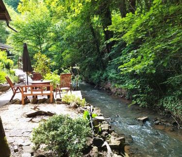 Burgbrohl Bed & Breakfast | Schmökermühle