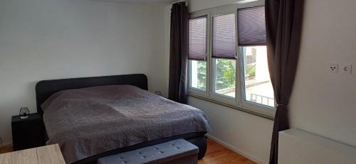 Krov Apartment | Schnick Schnack
