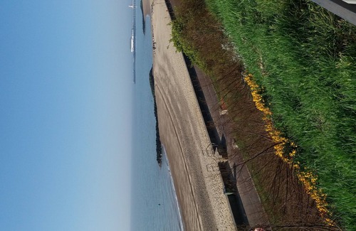 Clacton-on-Sea House | Sea Breeze Villa my house by the sea, with fresh salty air and seagulls flying