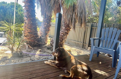 Goolwa South House | Sea-esta WIFI, Foxtel, Pet Friendly