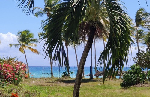 Pointe de la verdure House | Sea view studio 30m from the beach. A real island fragrance