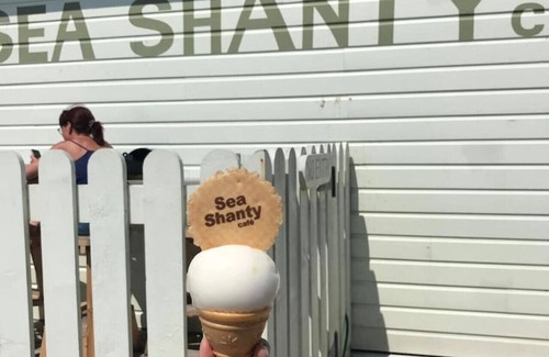 Trearddur Bay House | Seabird of Trearddur Bay Anglesey