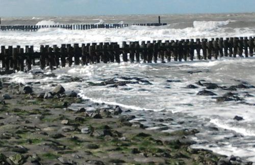 Serooskerke Bed & Breakfast | Searose B@B