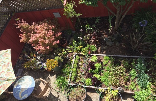 Rio del Mar House | Seascape Garden Studio Minutes From Ocean Or Redwoods