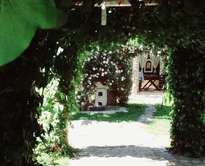 Pangaio House | Seaside Green Villa