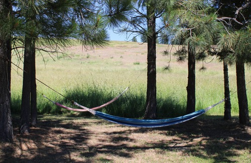 Harvard House | Secluded 77-Acre Retreat, Pet-Friendly Cabin Near Univ. of Idaho & WSU.