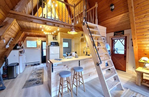 Luther Cabin | Secluded A-Frame Cabin with Private Riverfront on Little Manistee River near Tustin, Michigan