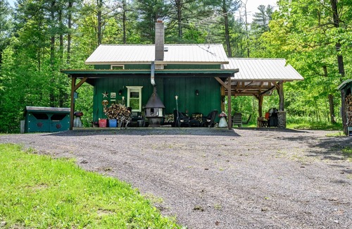 Dansville Cabin | Secluded Cabin near State Land