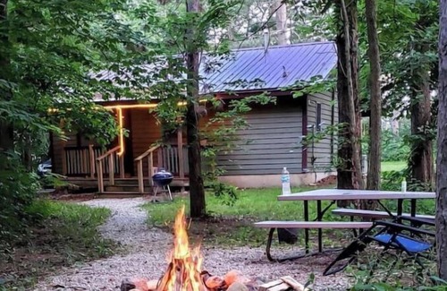 Triumph Cabin | Secluded Cabin Near Starved Rock W/Whirlpool Tub