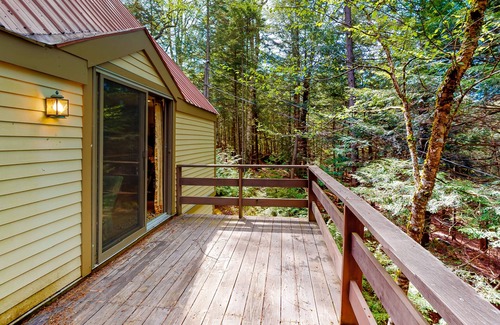 Londonderry House | Secluded cabin with 70s vibe, large deck, wood-burning stove, WiFi, & W/D