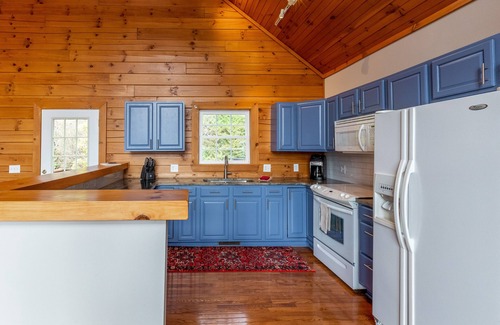 Waynesville House | Secluded home w/wooded surroundings, grill, scenic deck, firepit & mountain view
