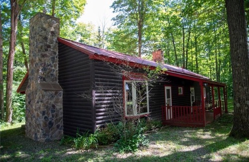Avoca Cabin | Secluded Log Cabin with walking trails in Howard NY -New in 2023-