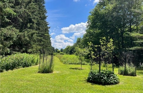Avoca Cabin | Secluded Log Cabin with walking trails in Howard NY -New in 2023-